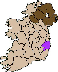 County Wicklow Flag